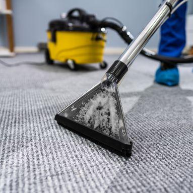 Dry Carpet Cleaning job photo 2