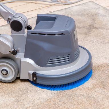Dry Carpet Cleaning job photo 5