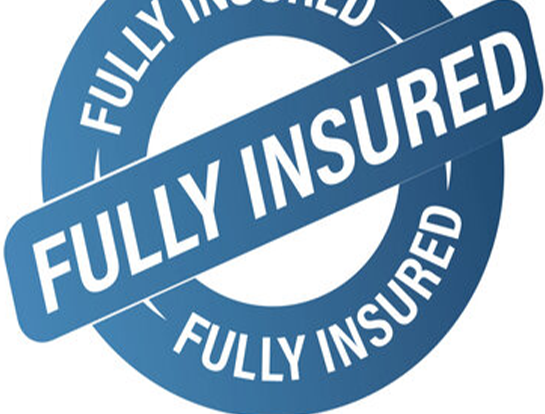 Professional cleaning service with full insurance