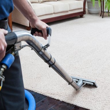 Eco-friendly carpet cleaning safe for children and pets