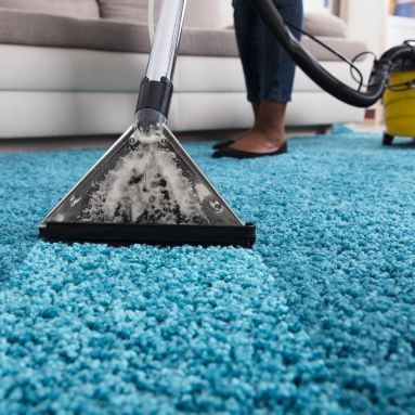Deep steam rug cleaning service