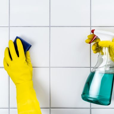 Professional cleaners handling cleaning needs