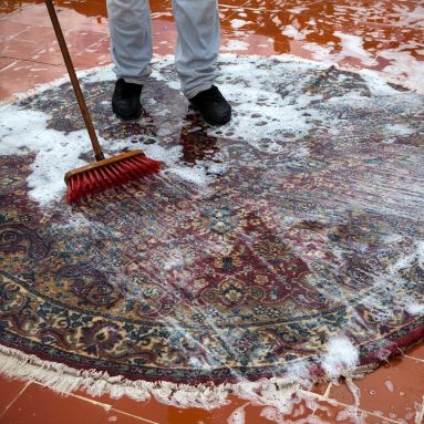 Specialized odour removal service for fresh rugs