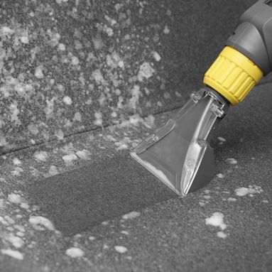 Eco-friendly carpet cleaning products for family and pets
