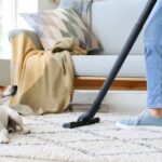 Dry Carpet Cleaning for Your Home benefits