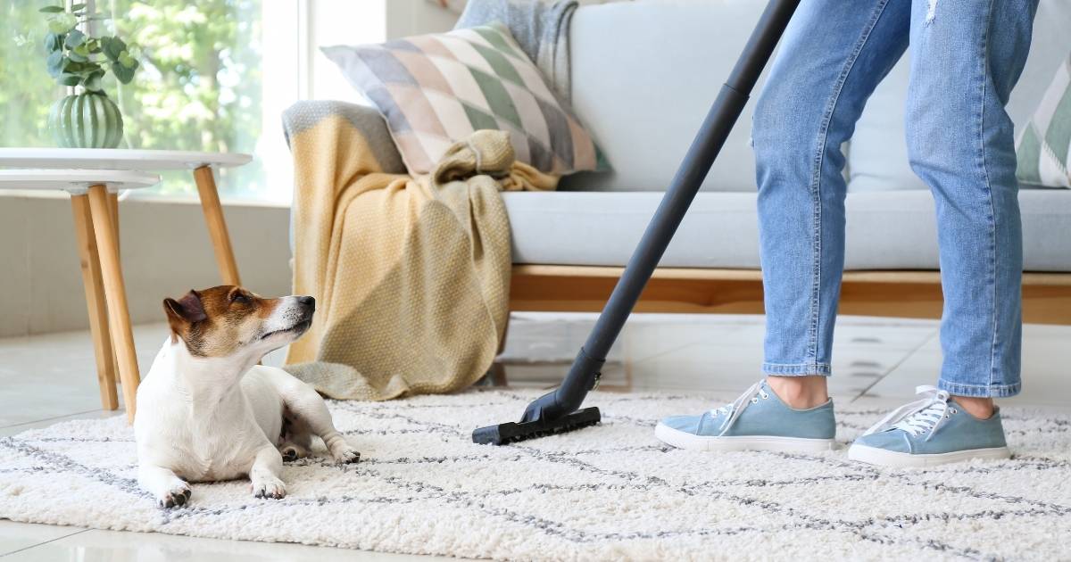Dry Carpet Cleaning for Your Home benefits